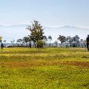 황산문화체육공원 | 양산 황산 문화 체육공원