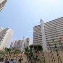 대천리초교 이미지