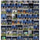 위너골프 이미지