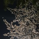 지우수산 이미지
