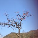 반석농장 이미지