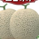 드림네트 이미지