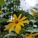 소동부뚜막 이미지