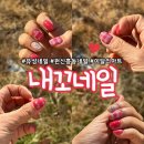 내꼬네일