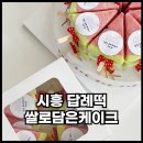 담은어린이집 | 내돈내산 어린이집생일답례떡 쌀로담은케이크 수박설기 후기
