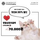 아크로벳 내과동물병원 이미지