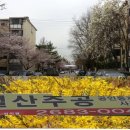 허*렬 이미지