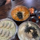 단짝 | [강릉 장칼국수 맛집] 교동택지 만둣국 만두맛집 포장 "호박식당" 현지인식당
