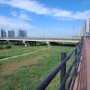 대구 금호강 둑길(4)(하양교~영천교~영천조교 파크골프장) 이미지