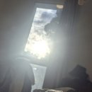 알렉스약국 | 위대한 샌드위치