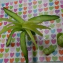 영원초등학교 이미지