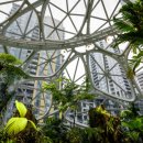 지오마트 이미지