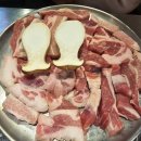 마포꽃돼지 이미지