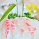 해송횟집 이미지