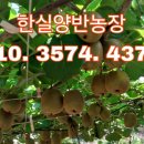 해금농장 네이버블로그