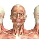 좋은운동 이미지