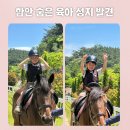 함안군 승마공원 청사 | 경남 아이와 가볼만한곳 추천! 함안군승마공원 승마체험 후기 🐴 안가면 후회