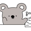 바르다 펫 부산센텀점 이미지