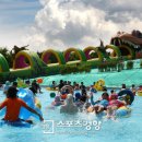 서울랜드 야외수영장 이미지