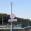 고복마트 이미지