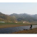 우리의 봄날 이미지