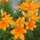 소청우체국 이미지