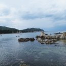 장호2리 이미지