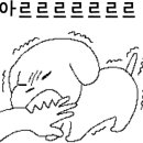 도꾸살롱 이미지