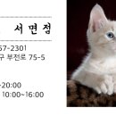 레푸스 서면점