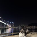 제일건재도매한약 | 1월 일상 기록 / 건강 평화 행복 사랑 돈 주세요☘