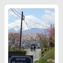 소리코티지 이미지