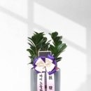 믿음식물원
