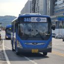 세화고등학교 이미지