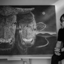 제주 흑우 이미지