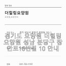 장안로16번길 네이버블로그