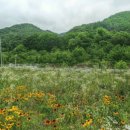 물야초등학교 개단분교장 이미지