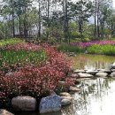 뫼뿌리농장 이미지