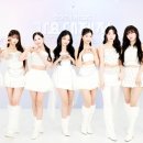 나인로지스