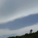 봄구름