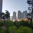 뉴코아공인중개사사무소 매일경제