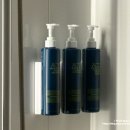 포포인츠 바이 쉐라톤 서울 구로(Four Points by Sheraton Seoul Guro) | 서울 호텔 : [ 포포인츠 바이 쉐라톤 서울 구로 ] 호캉스 하기좋은 가성비 4성급 호텔 ( + 주차...