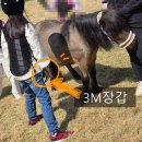 출석체크 | 학생승마 지원사업 신청방법 총정리(+출석 체크, 지각·보충수업, 준비물 실제 후기)