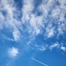 NR-3[평화로]-하-36 | 제주도가볼만한곳 <제주불빛정원> 제주야간명소 추천 특별한 추억을 만들 수 있는 불꽃이벤트🔥