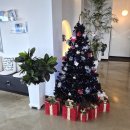 리부아르 제주 애월 오션뷰 카페 <b>리부아르</b> 내돈내산 후기