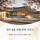 고대1080 | 경주 4월 여행 완벽 가이드