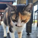 해미르펜션 이미지