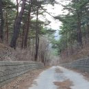 절터골2 이미지