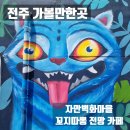전주 가볼만한곳 자만벽화마을 벽화 골목 산책과 전망 카페 꼬지따뽕 후기