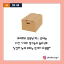 9번청과 이미지