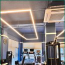 더블유 제이 이미지